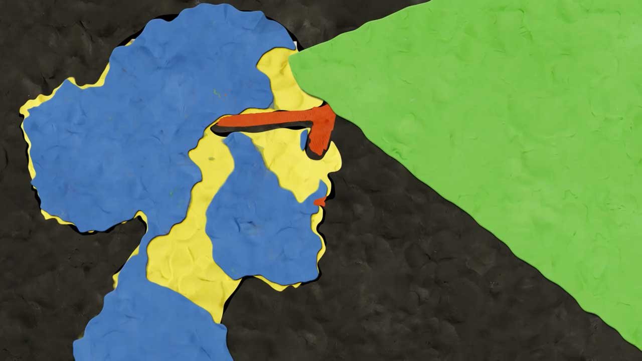 TESTAVERDE – Livre